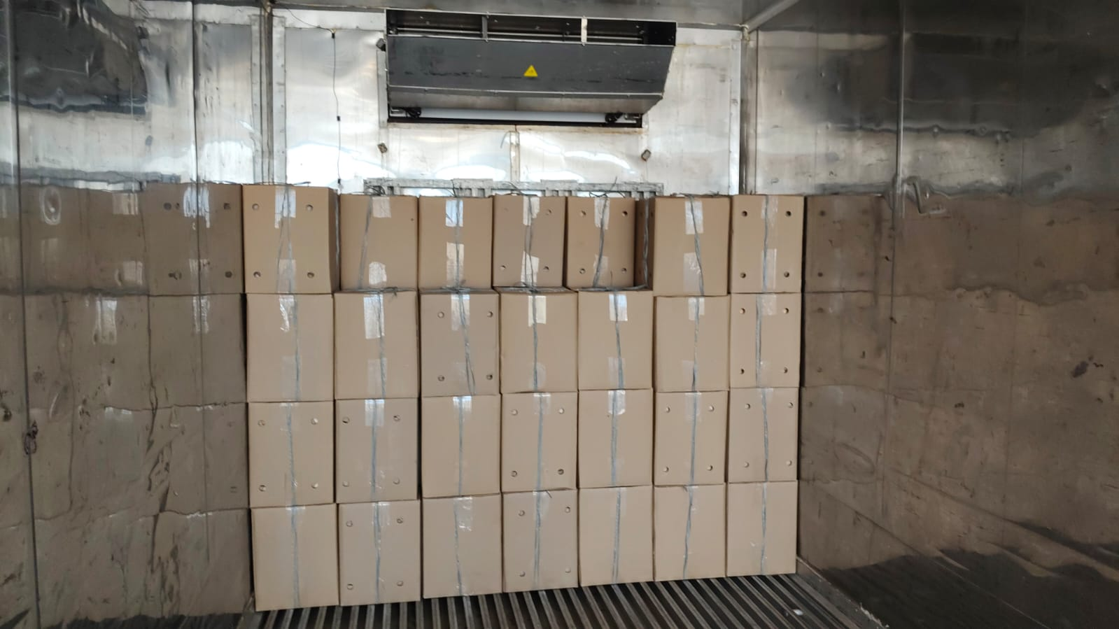 Cold Storage Transport